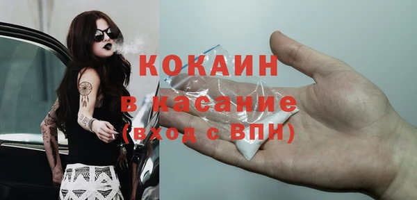 шишки Баксан