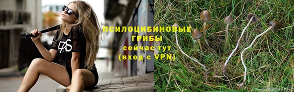 трава Алексеевка