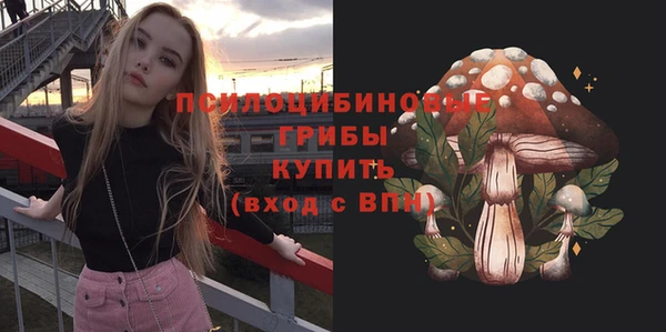 шишки Баксан