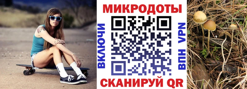 Псилоцибиновые грибы прущие грибы  Купить  Светогорск 